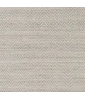 Surya Drift Wood DRF-3001-2x3 rug