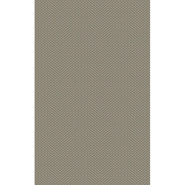 Surya Drift Wood DRF-3004-2x3 rug