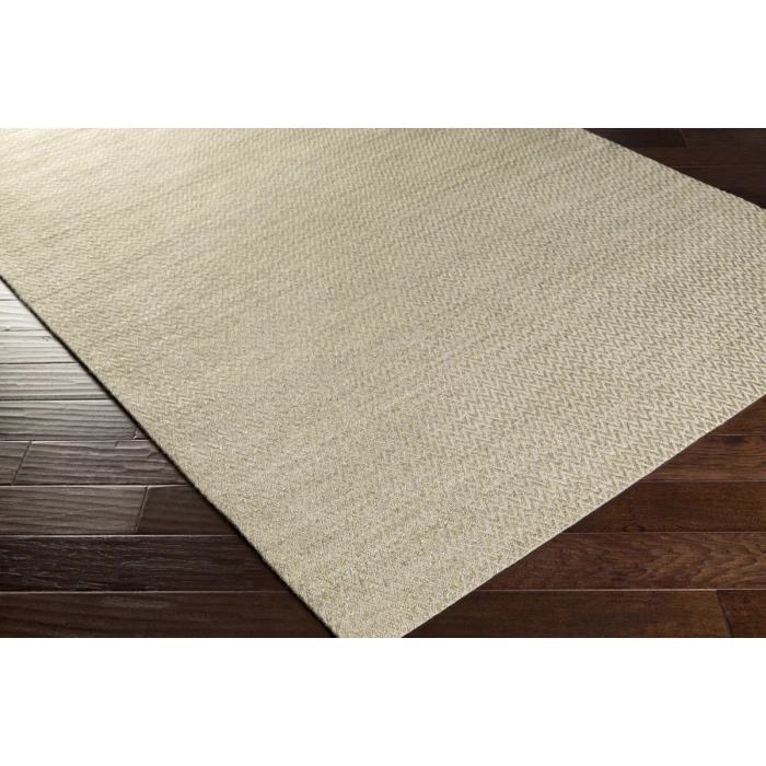 Surya Drift Wood DRF-3004-2x3 rug