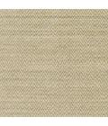 Surya Drift Wood DRF-3004-2x3 rug