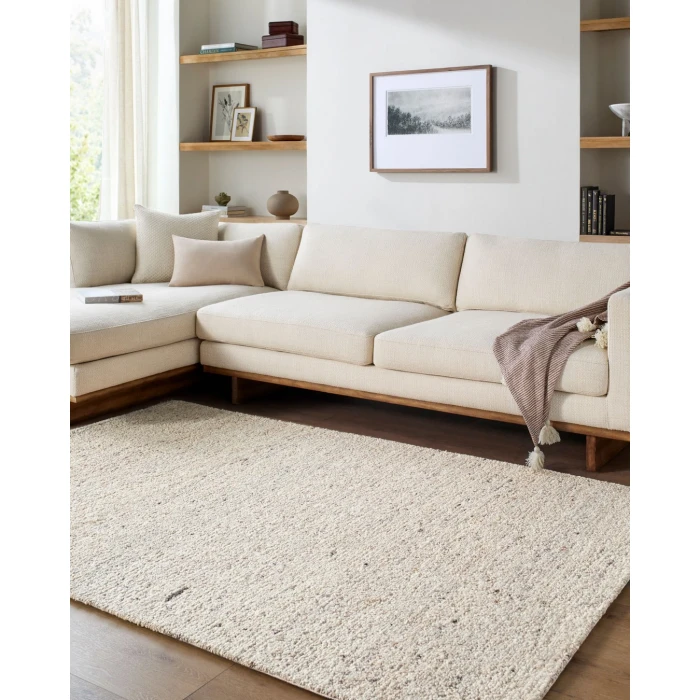 Desire DSE-2302 8' x 10' Handmade Rug