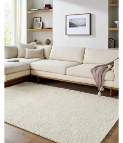 Livabliss Desire DSE-2303 6 ft. x 9 ft. Rectangle Rug