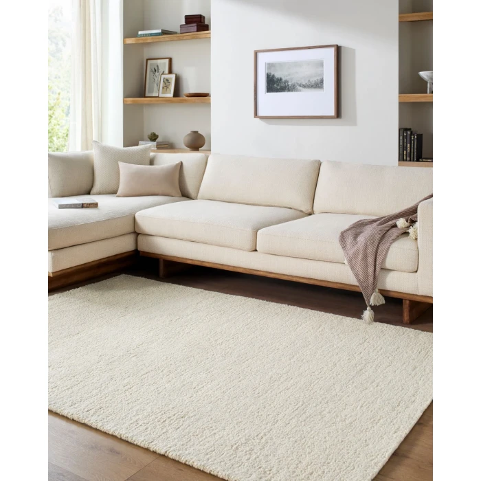 Desire DSE-2303 8' x 10' Handmade Rug