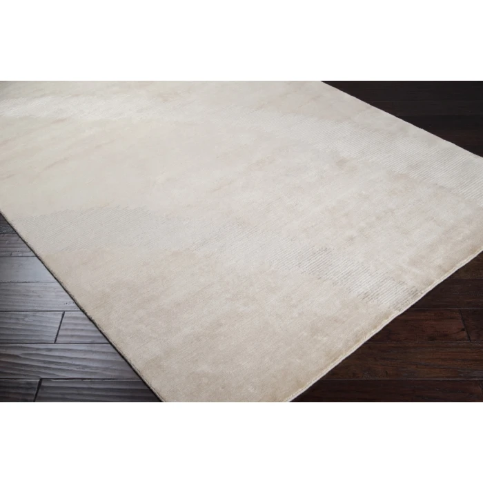 Surya Dusk DSK-6705-2x3 rug