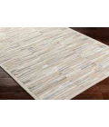 Surya Dreamscape Rug DSP2300