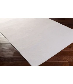 Surya Dutchess DTC8000 Ivory Metallic - Silver Area Rug 2 ft. X 3 ft. Rectangle