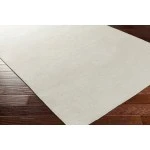 Surya Dutchess DTC8001 Light Gray Metallic - Silver Area Rug 2 ft. X 3 ft. Rectangle