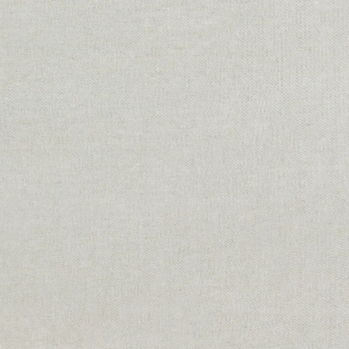 Surya Dutchess Light Gray DTC-8001 4ft. x 6ft. Rect. Rug
