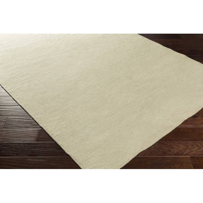Surya Dutchess DTC-8003-4x6 rug
