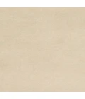 Surya Dutchess DTC-8003-4x6 rug