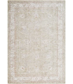Livabliss Da Vinci Beige DVC-2317 2 ft. 7 in. X 10 ft. Rect. Rug