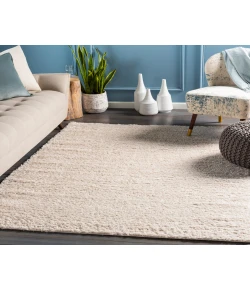 Livabliss Deluxe Shag DXS2301 Beige Area Rug 2 ft. X 3 ft. Rectangle
