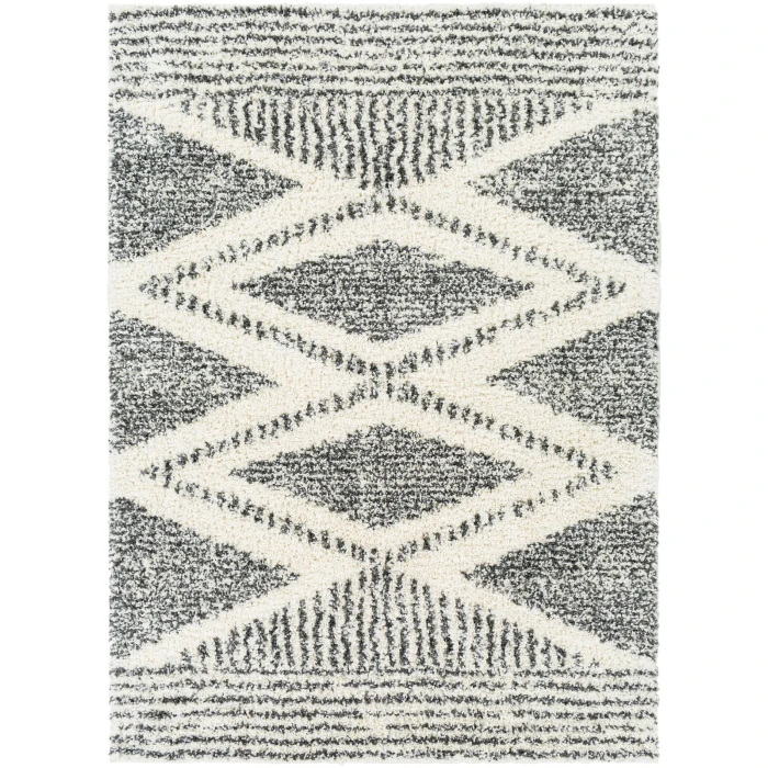 Livabliss Deluxe Shag DXS-2309 43" x 57" Rug