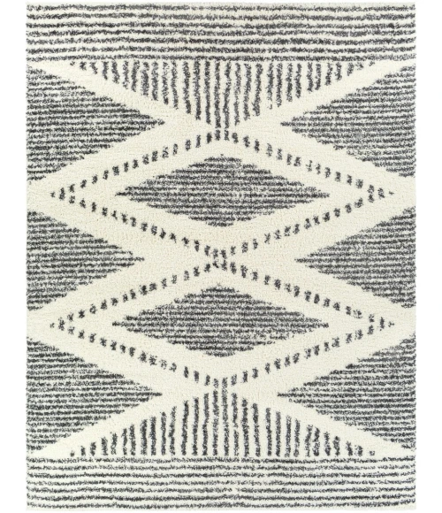 Livabliss Deluxe Shag DXS-2309 7 10 x 10 3 Rug