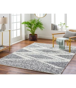 Livabliss Deluxe Shag DXS2309 Cream Charcoal Area Rug 2 ft. 7 in. X 7 ft. 3 in. Runner