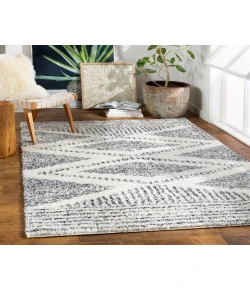 Livabliss Deluxe Shag DXS2309 Cream Charcoal Area Rug 8 ft. 10 in. X 12 ft. Rectangle