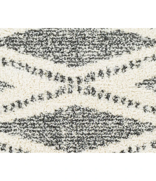 Livabliss Deluxe Shag DXS-2309 810" x 12 Rug