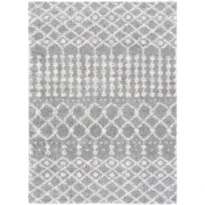 Livabliss Deluxe Shag DXS-2313 2  x 3  Rug