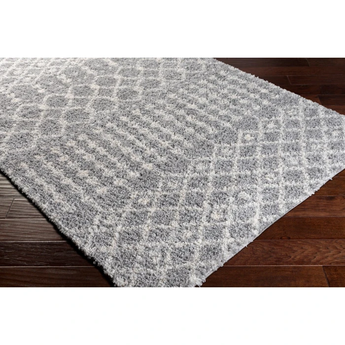 Livabliss Deluxe Shag DXS-2313 2  x 3  Rug
