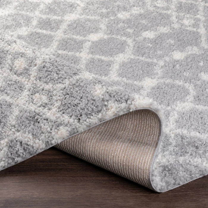 Livabliss Deluxe Shag DXS-2313 2  x 3  Rug
