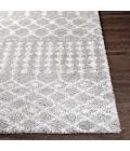 Livabliss Deluxe Shag DXS-2313 2  x 3  Rug