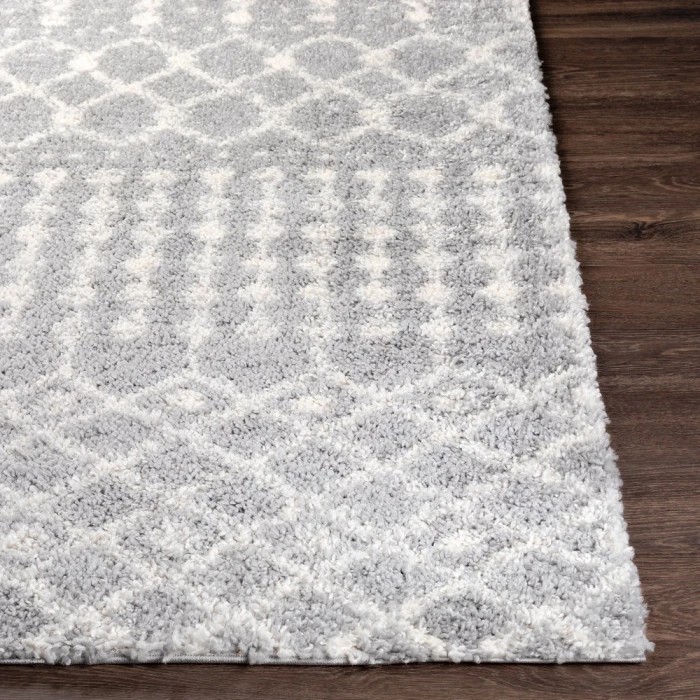 Livabliss Deluxe Shag DXS-2313 2  x 3  Rug