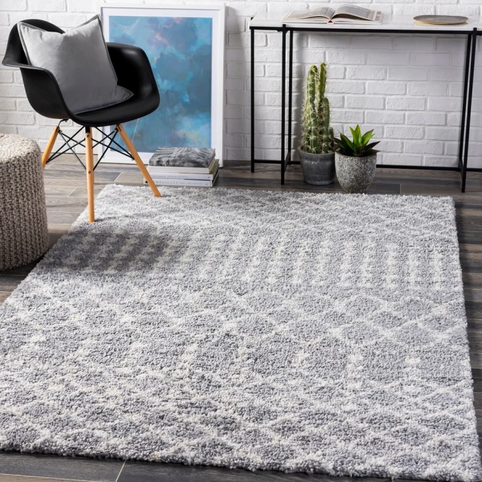 Livabliss Deluxe Shag DXS-2313 2  x 3  Rug