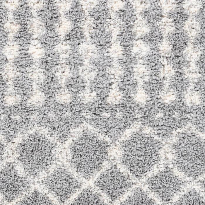 Livabliss Deluxe Shag DXS-2313 2  x 3  Rug