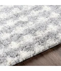 Livabliss Deluxe Shag DXS-2313 2  x 3  Rug