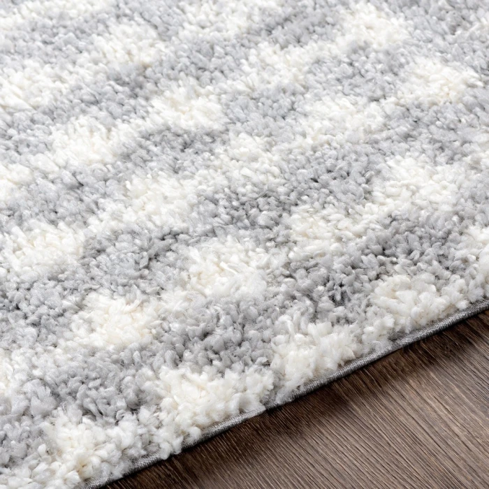 Livabliss Deluxe Shag DXS-2313 2  x 3  Rug