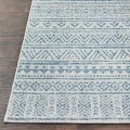 Livabliss Eagean EAG-2306 Area Rug