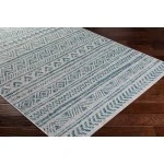 Livabliss Eagean EAG2307 Aqua Black Area Rug 4 ft. 3 in. X 5 ft. 11 in. Rectangle
