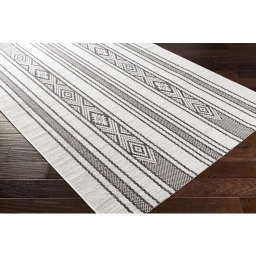 Surya Eagean EAG-2352 7 10 Square Rug