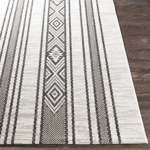 Surya Eagean EAG-2352 7 10 Square Rug