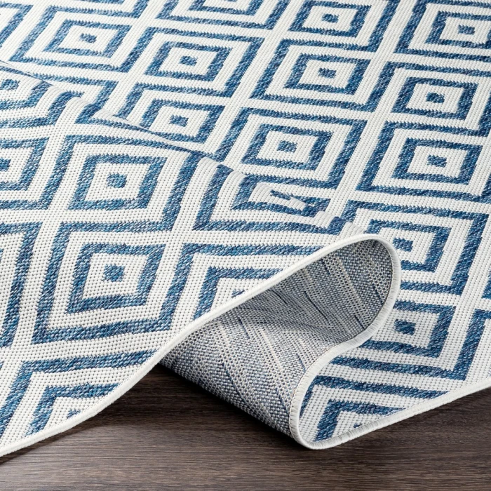 Surya Eagean EAG-2367 2  x 2 11 Rug