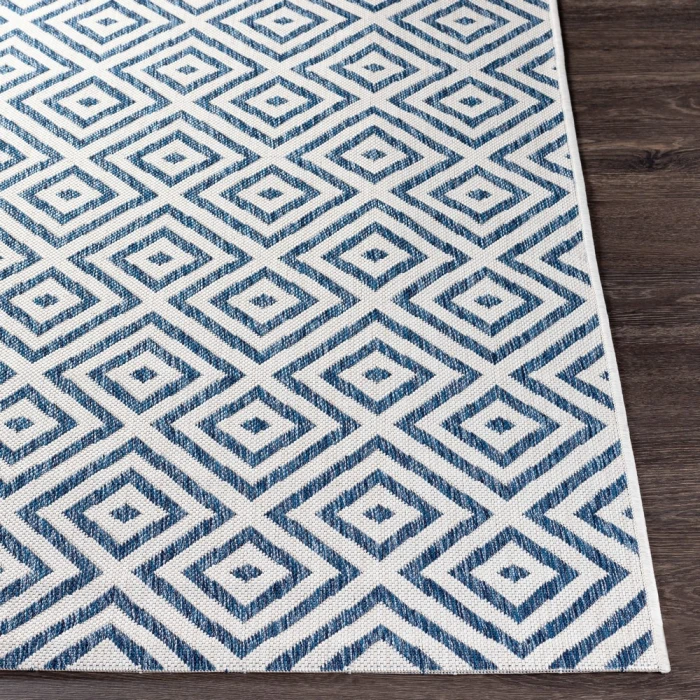 Surya Eagean EAG-2367 2  x 2 11 Rug