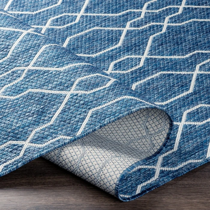 Livabliss Eagean EAG-2381 2  x 2 11 Rug