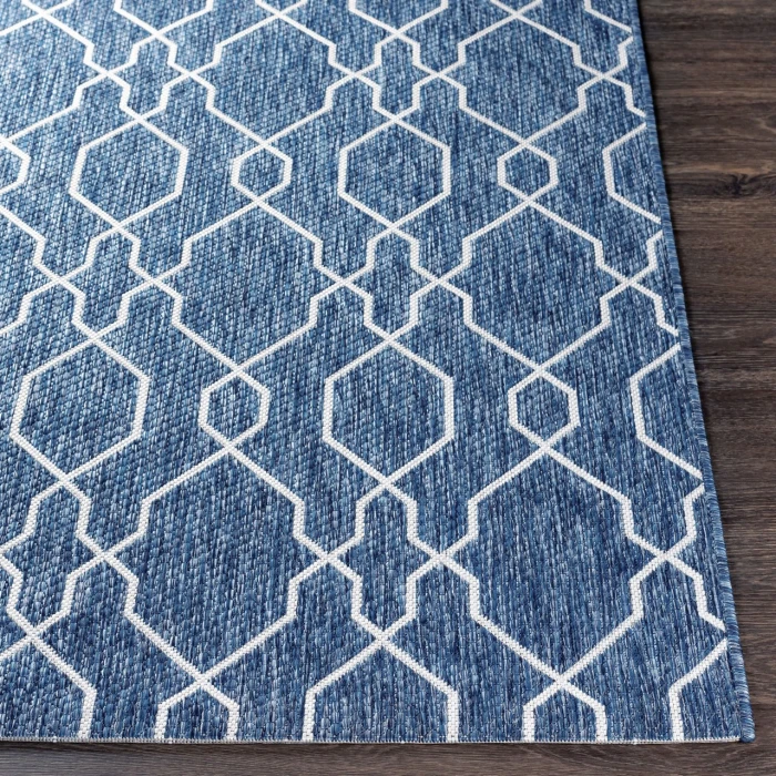 Livabliss Eagean EAG-2381 2  x 2 11 Rug