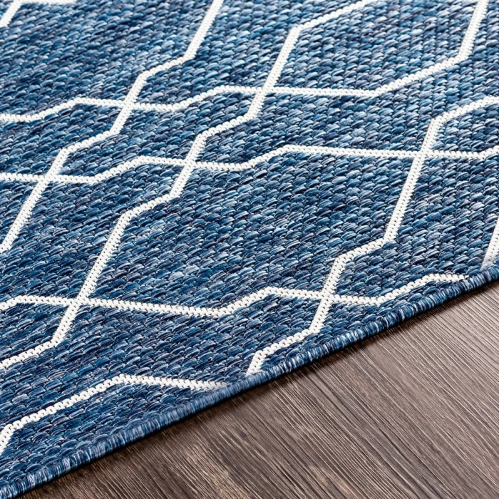 Livabliss Eagean EAG-2381 2  x 2 11 Rug