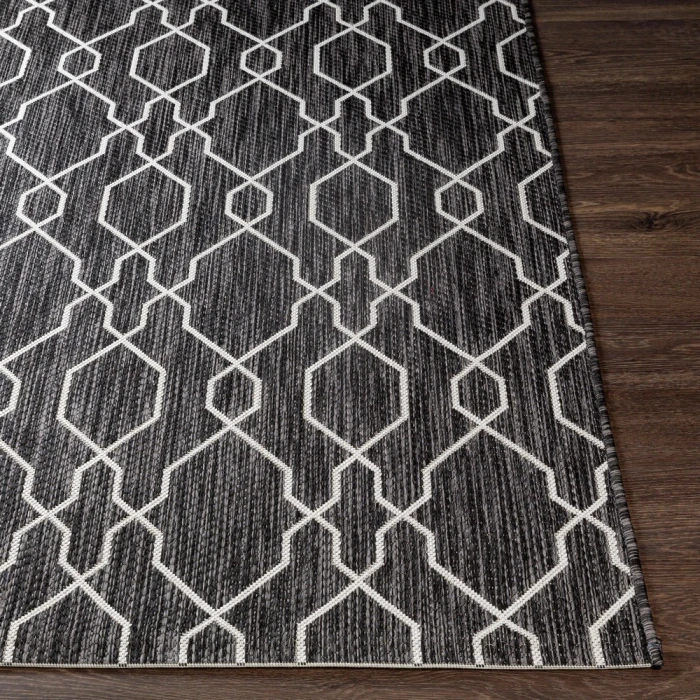 Livabliss Eagean EAG-2384 12  x 15  Rug