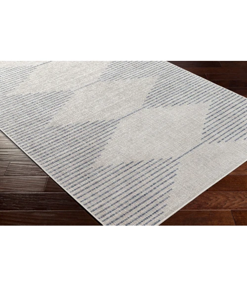 Livabliss Eagean EAG-2418 43" x 511" Rug