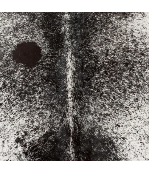 Surya Easton EAS-4000-8SQUARE rug