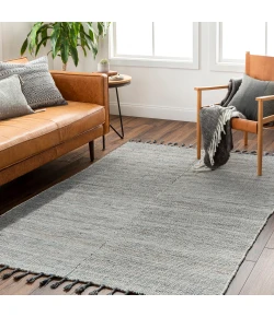 Surya Esther EHR2302 Beige Ivory Area Rug 2 ft. X 3 ft. Rectangle