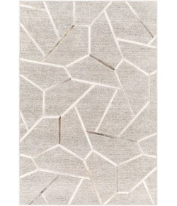 Surya Eloquent ELQ2306 Medium Gray Light Gray Area Rug 10 ft. X 14 ft. Rectangle