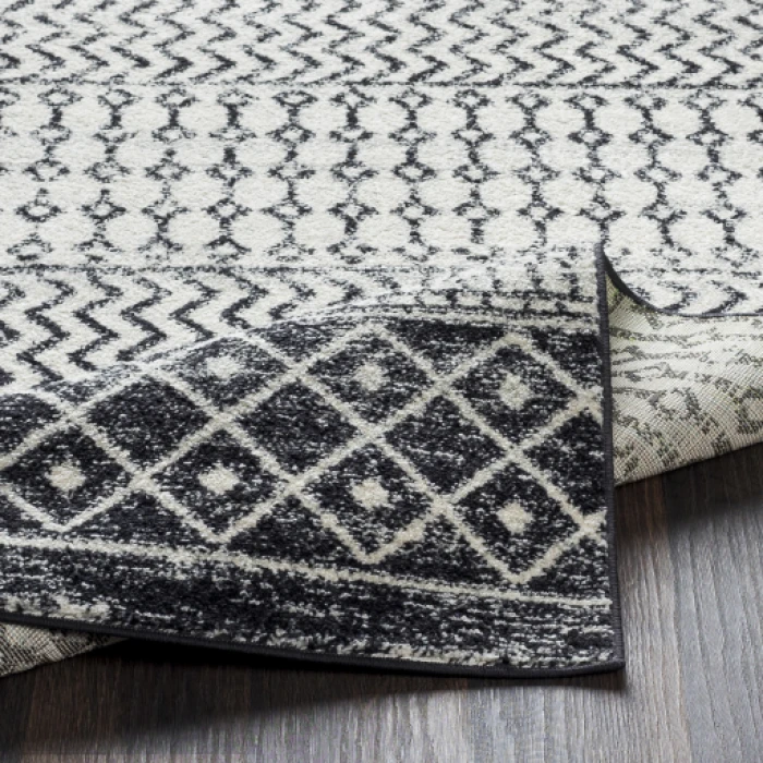 Livabliss Elaziz ELZ-2307 2 7 x 10  Rug