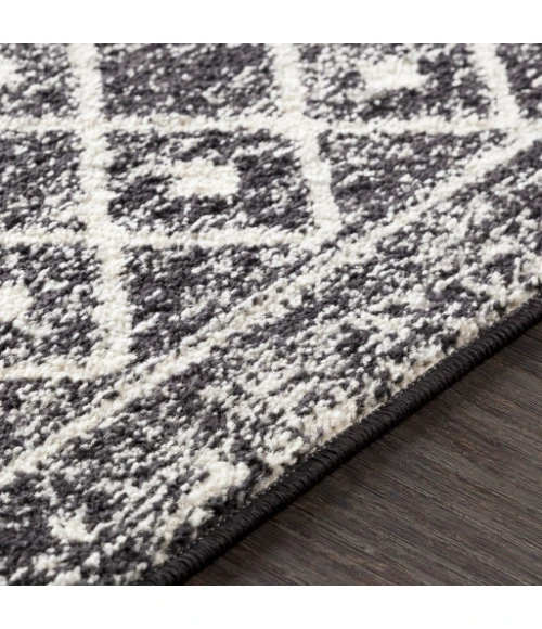 Livabliss Elaziz ELZ-2307 2 7 x 16  Rug