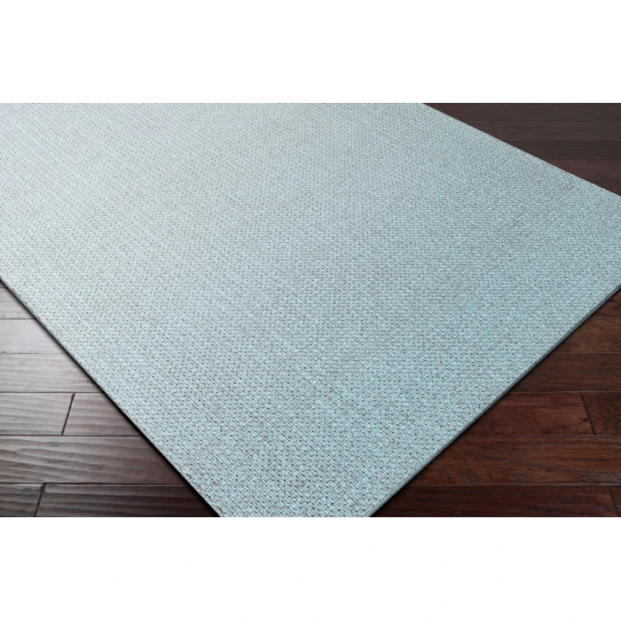 Surya Ember Pale Blue EMB-1004 2ft.3in. x 4ft.5in. Rect. Rug
