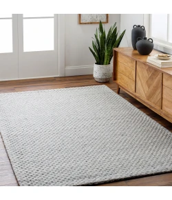 Livabliss Empoli EPO2311 Light Grey Taupe Area Rug 2 ft. X 3 ft. Rectangle