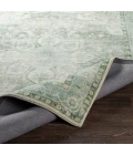 Livabliss Erin ERN-2309 2  x 3  Rug