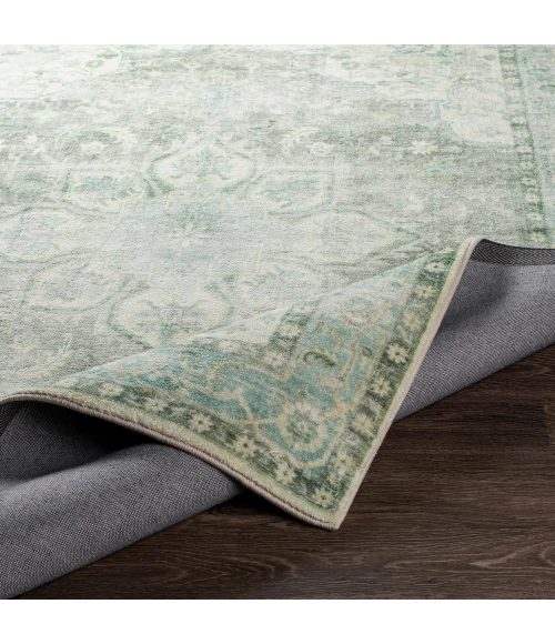 Livabliss Erin ERN-2309 2  x 3  Rug